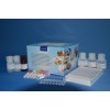 磺胺嘧啶ELISA检测试剂盒