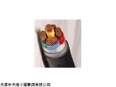 天津电缆价格/阻燃电力电缆标准 MVV MVV22
