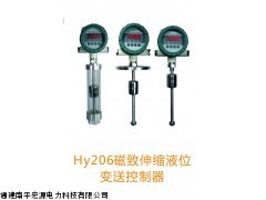 HY206磁致伸缩液位变送控制器