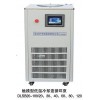 DLSB系列低温冷却液循环泵，触摸型低温冷却液循环泵