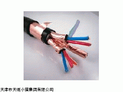 供应BP-YJPVP2变频器电缆图片【生产厂家供应】