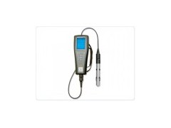 YSI ProPlus 型多参数水质测量仪,多参数水质测量仪
