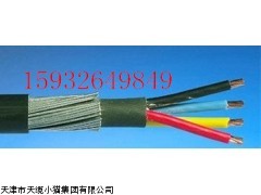天津电缆价格/RS485通讯电缆新标准