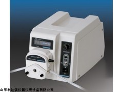LDX-BT300-2J 优惠蠕动泵/蠕动泵