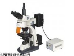 电脑型生物荧光显微镜GH/CFM-330Z,数码荧光显微镜