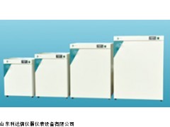 LDX-HJH-DNP-9052 电热恒温培养箱/恒温培养箱