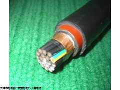 兴义YCW野外用电缆,YCW电缆价格