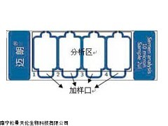 MAILANG一次性精子計(jì)數(shù)板，四腔室精子計(jì)數(shù)板，精子計(jì)數(shù)板