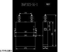 厂家直销高压并联电力电容器LDX-BWF10.5-16-1V