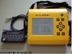 半价优惠钢筋检测仪新款LDX-BS1-SMY-300C