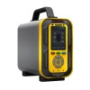 TD6000-SH-CS2 泵吸式手提式二硫化碳檢測報警儀