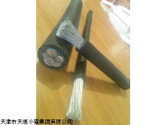 国标矿用阻燃橡套电缆CEFR船用橡套电缆 天津电缆价格