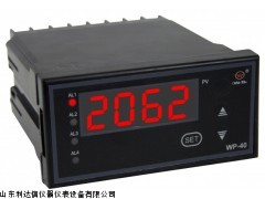 厂家直销温度控制仪新款LDX-WP-Z404-02-12-