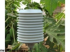 TY-01腾宇电子 空气温湿度传感器