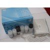 人脂联素（ADP)酶联免疫试剂盒
