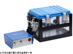 厂家直销 真空箱气袋采样器新款 LDX-ZR-3520