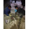 广州公司污水池止水带伸缩缝堵漏