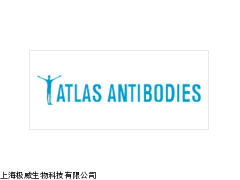 Atlas Antibodies产品代理_供应产品