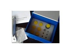 大鼠载脂蛋白A1检测试剂盒厂家\/报价_供应产