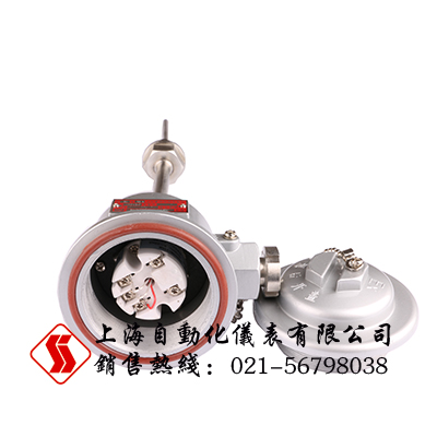 SBWZ-4480/236防爆带热电阻温度变送器