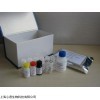 人泛素分解酶(DUB)ELISA测定试剂盒