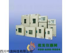 台式电热恒温鼓风干燥箱 DHG-9203A