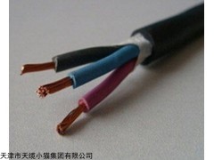 TVR-J加强型电葫芦电缆价型号TVR-J弹性体行车软电缆