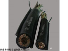 TVR-J钢丝加强型电缆规格,TVR弹性体行车软电缆规格