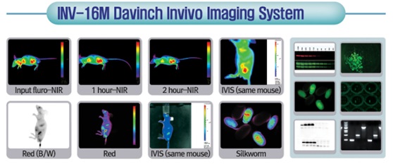 Davinch多功能活体荧光成像分析系统_供应产