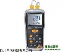 专业温度表DT-613