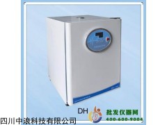 电热恒温培养箱(智能仪表A型)DH-360