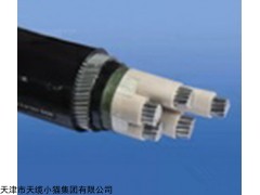 国标ZRVV阻燃电力电缆3*50+*25价格