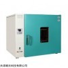 DHG-9123A数码仪表台式干燥箱