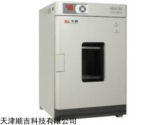 数码仪表立式干燥箱(DHG-9070A)