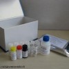人白细胞调节素(LR)elisa试剂盒