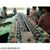 天津渔县分级桃子大小的选果机