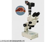 天天三目体视显微镜LDX-BTL-486