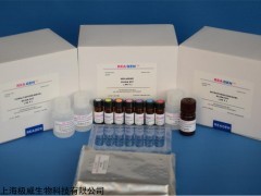 人鸟氨酸氨基甲酰转移酶(OCT)ELISA Kit