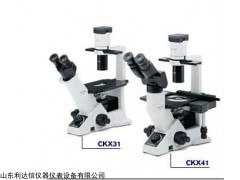 天天倒置荧光显微镜LDX-CKX41-F32FL