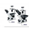 天天倒置荧光显微镜LDX-CKX41-F32FL