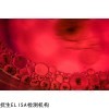 人乳腺浸润性导管癌旁皮肤细胞；CCD-1095Sk
