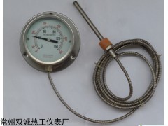 WTZ-280压力式温度计WTQ-288压力式温度计厂家
