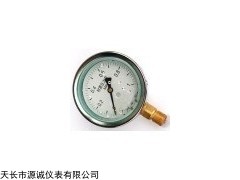 厂家销售YN系列耐震压力表