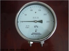 安徽双膜片式高静压差压表供应商
