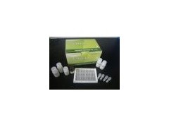 鸡抗中性粒细胞胞浆抗体(ANCA)ELISA 试剂盒