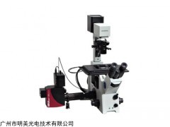 Thorlabs 广州Thorlabs共聚焦显微镜系统