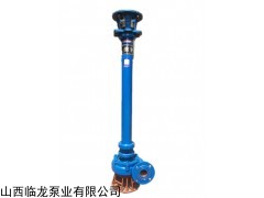 临龙立式污水泵80NPL50-20