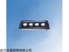 LED备用事故应急照明顶灯NFE9121B/K-T1