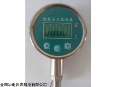 金湖HDKJ-Y100压力控制器价格