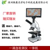 郑州畜牧鱼病检测仪生物视频显微镜